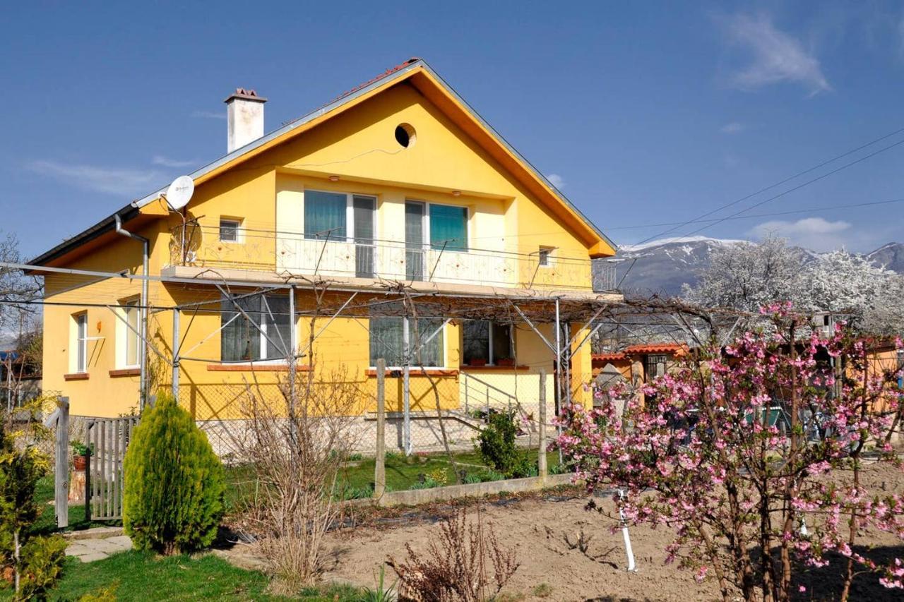 Вила В С. Габарево, Долината На Розите. Gabarevo Exteriör bild
