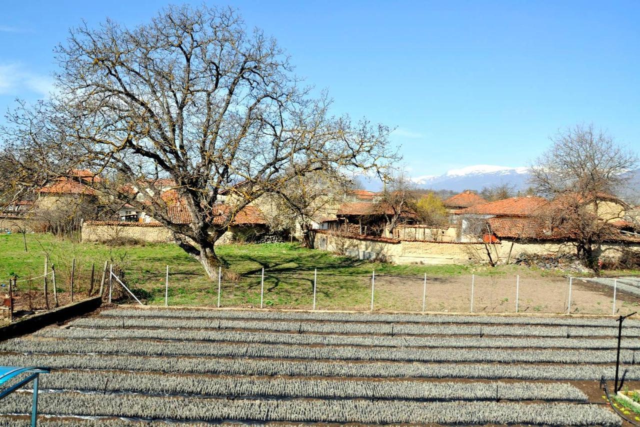 Vila V S. Gabarevo, Dolinata Na Rozite. Villa Exteriör bild