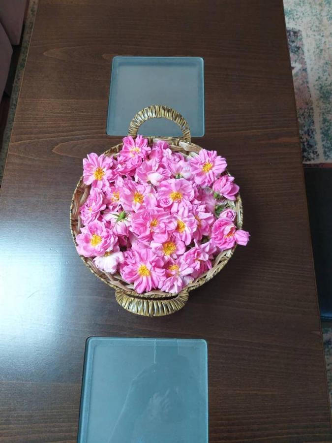 Вила В С. Габарево, Долината На Розите. Gabarevo Exteriör bild
