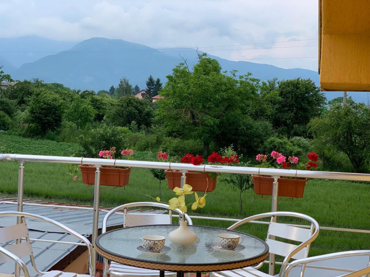 Вила В С. Габарево, Долината На Розите. Gabarevo Exteriör bild
