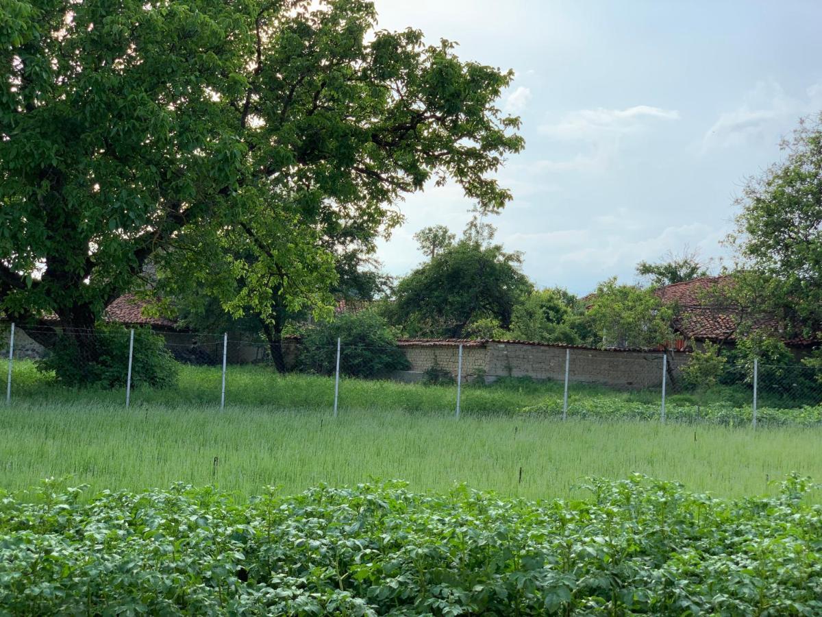 Вила В С. Габарево, Долината На Розите. Gabarevo Exteriör bild