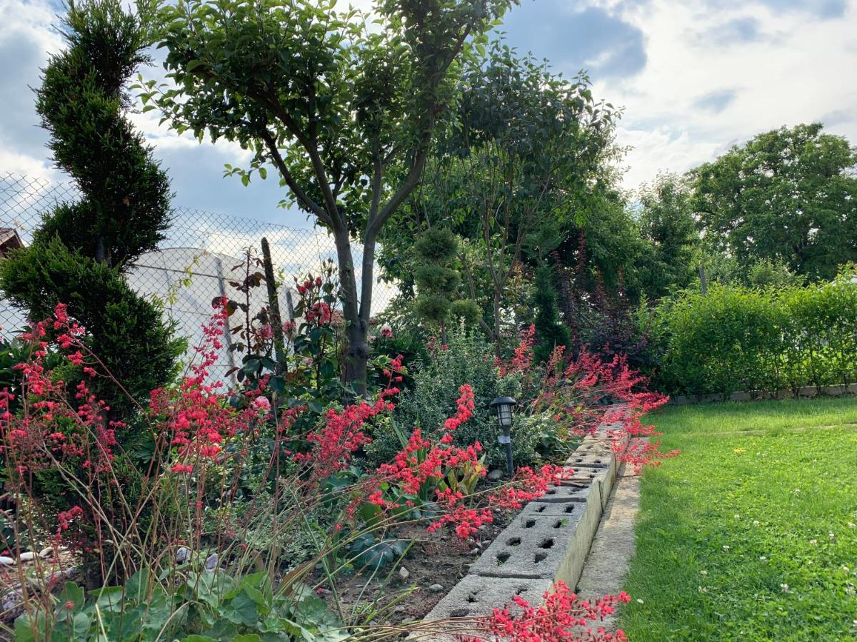 Вила В С. Габарево, Долината На Розите. Gabarevo Exteriör bild